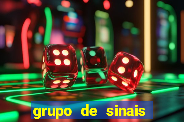 grupo de sinais fortune rabbit